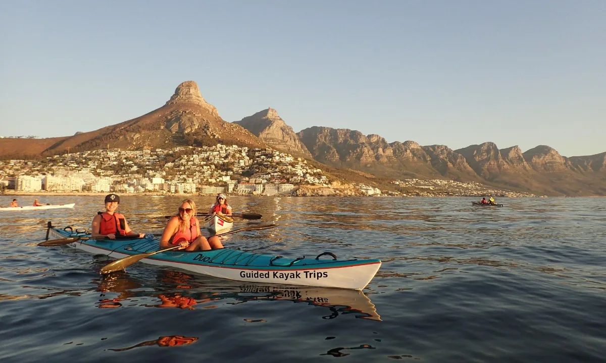 Attraction: Kayaking with Dolphins in Cape Town's Atlantic Waters