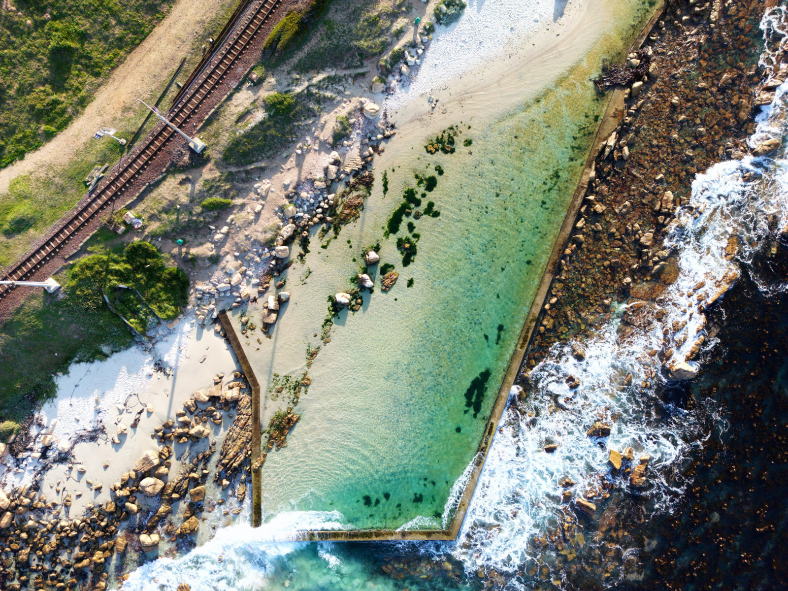 Attraction: Kayaking with Dolphins in Cape Town's Atlantic Waters